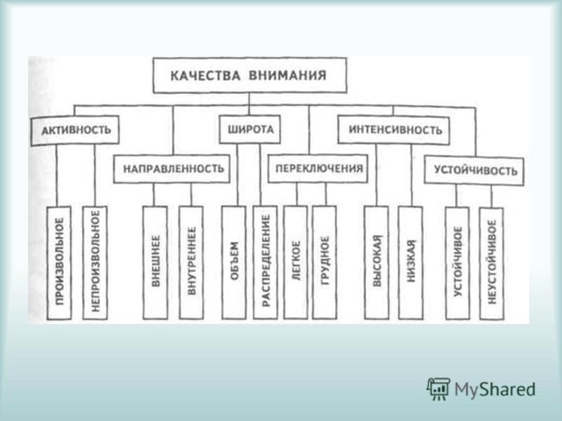 Формы внимания