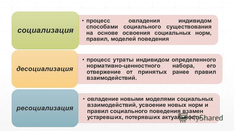 Социализация социальные нормы. Модели поведения индивида. Процессы социализации и ресоциализации личности. Десоциализация и ресоциализация индивида.. Способы ресоциализации личности.