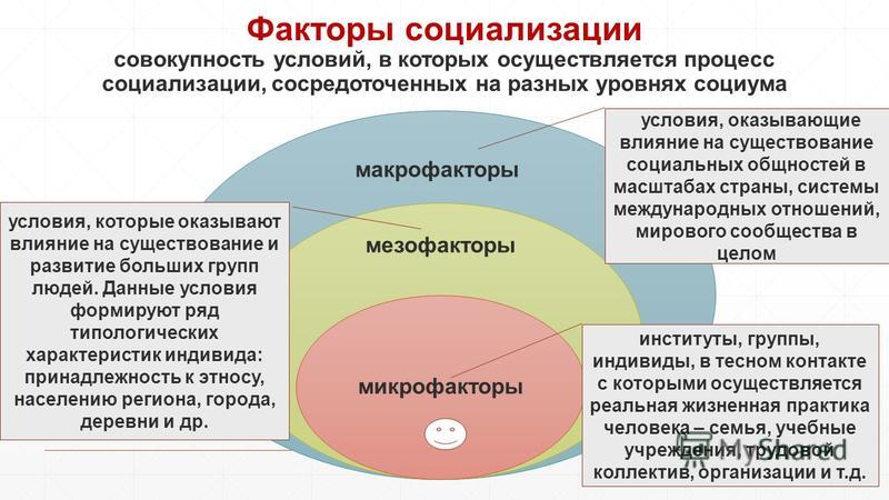 Микрофакторы социализации человека. Факторы социализации личности.