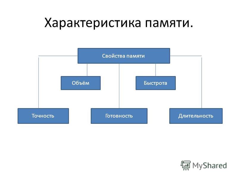 Свойства памяти в психологии