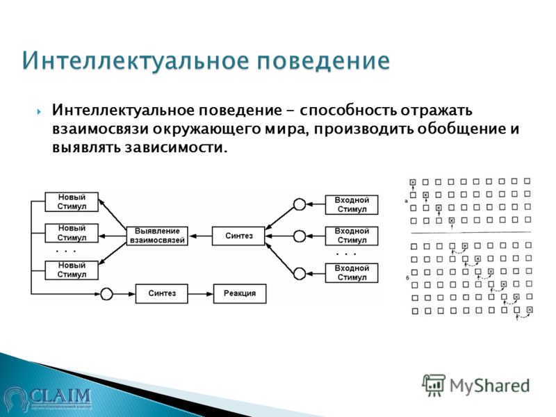 Интеллектуальное поведение. Интеллектуальное поведение человека. Интеллектуальное поведение примеры. Интеллектуальное поведение это в психологии.