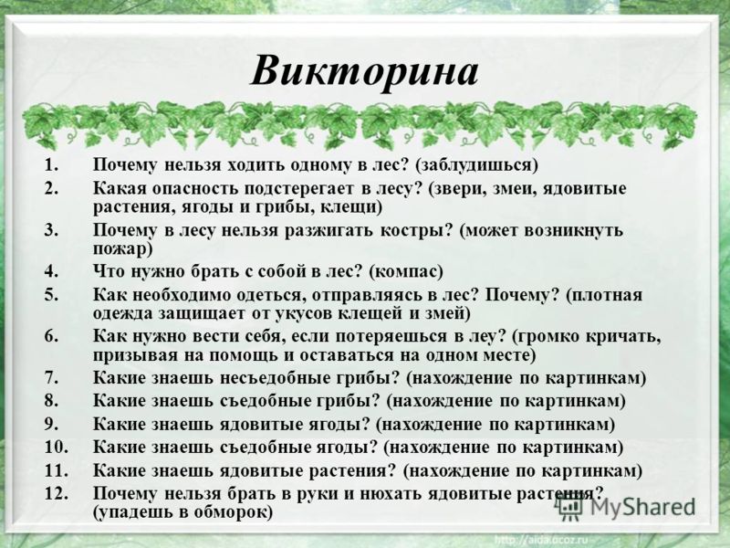 Тест лес. Викторина о природе. Викторина про природу для детей. Экологическая викторина для детей. Викторина экология.