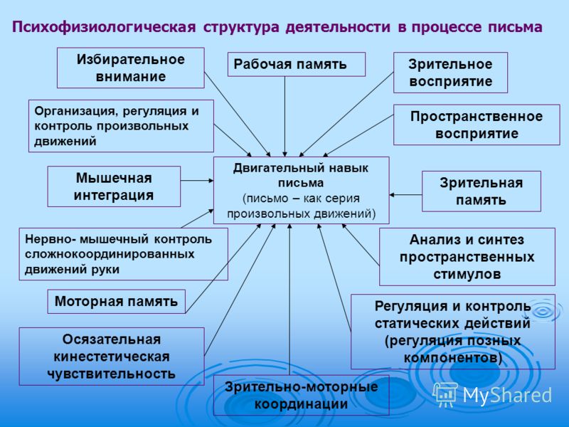 Особенности психофизиологического метода. Психофизиологические основы письма. Психофизиологическая структура письма. Особенности психофизиологического развития. Психофизиологическая структура деятельности в процессе письма..