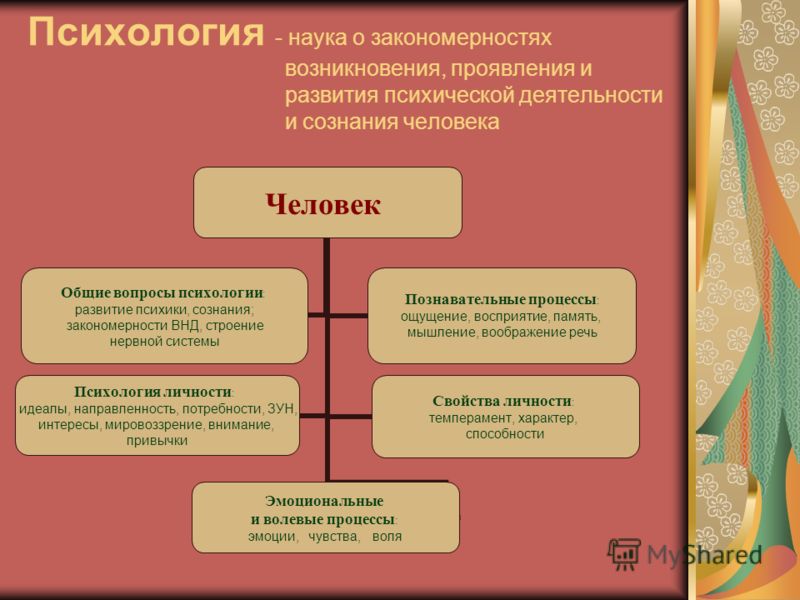 Процессы память мышление. Память внимание воображение. Восприятие память мышление. Память внимание мышление воображение. Восприятие память мышление воображение.