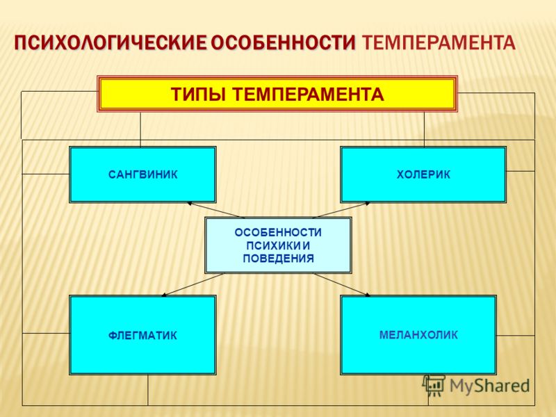 Особенности психики человека. Психологические особенности. Особенности психики. Особенности темперамента. Психологические характеристики темперамента.