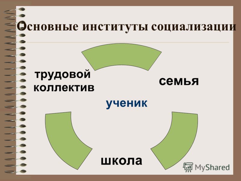 Главный институт социализации человека