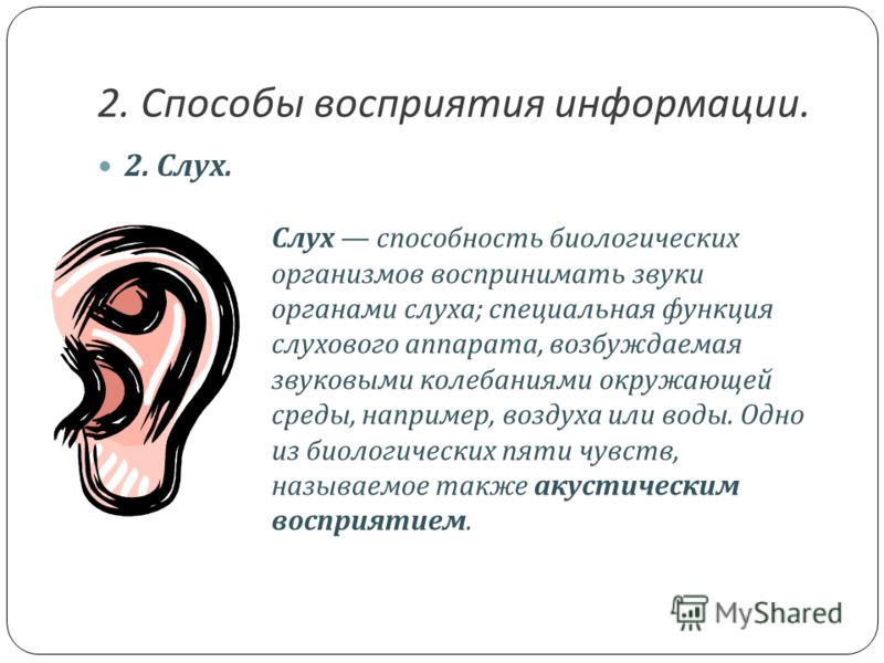 Пути восприятия. Информация воспринимаемая органами слуха. Слух (информация). Восприятие информации на слух. Способ восприятия информации слух.