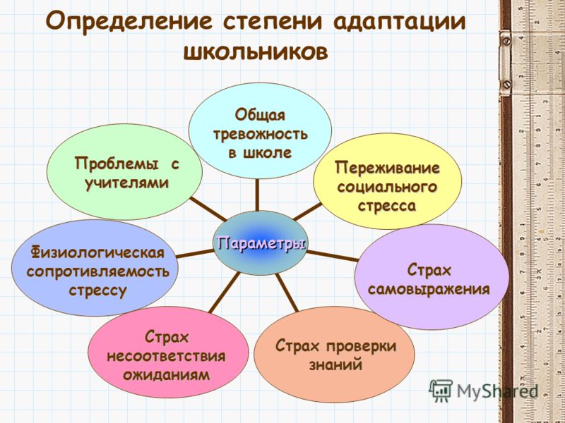 Развитие социальной адаптации обучающегося