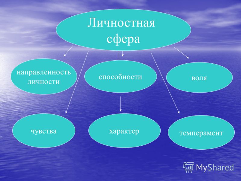 Сферы личности. Личностная сфера. Психологические сферы личности. Личностная сфера личности это.