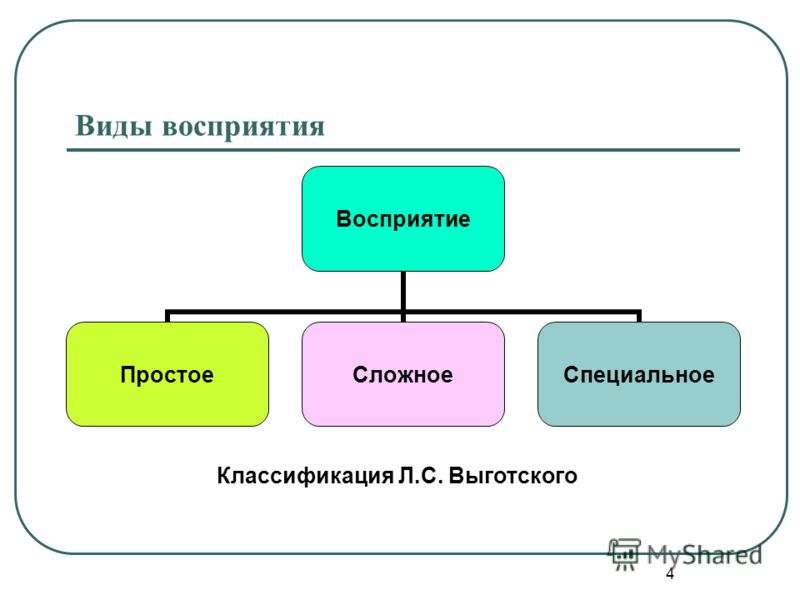 Специальный вид восприятия. Простые виды восприятия. Классификация видов восприятия. Виды восприятия в психологии.