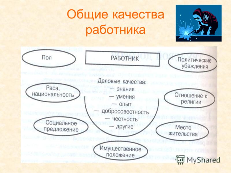 Какие качества работника. Качества работника. Общие качества работника. Положительные качества работника. Лучшие качества работника.