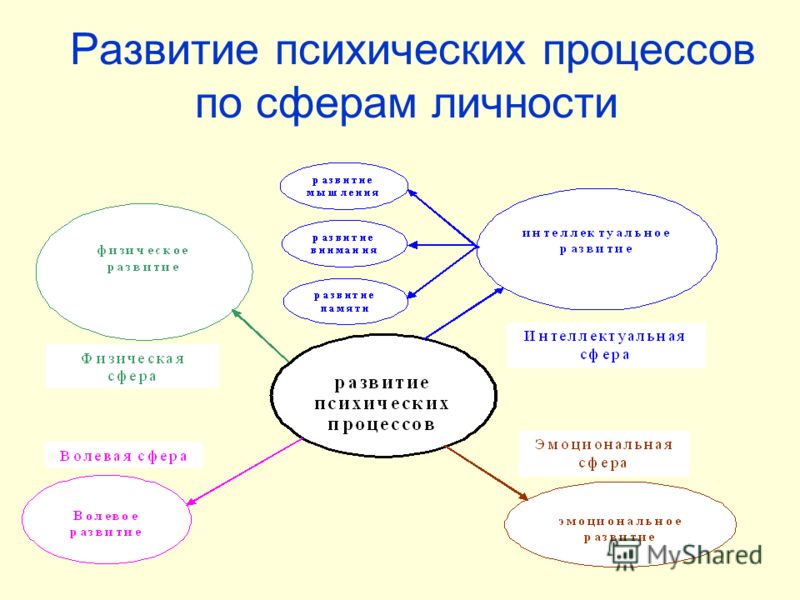 Личностная сфера. Развитие психических процессов по сферам личности. Три сферы личности. Сферы личности в психологии.