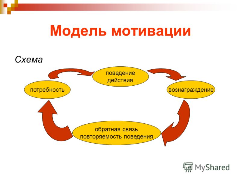 Система действий поведения