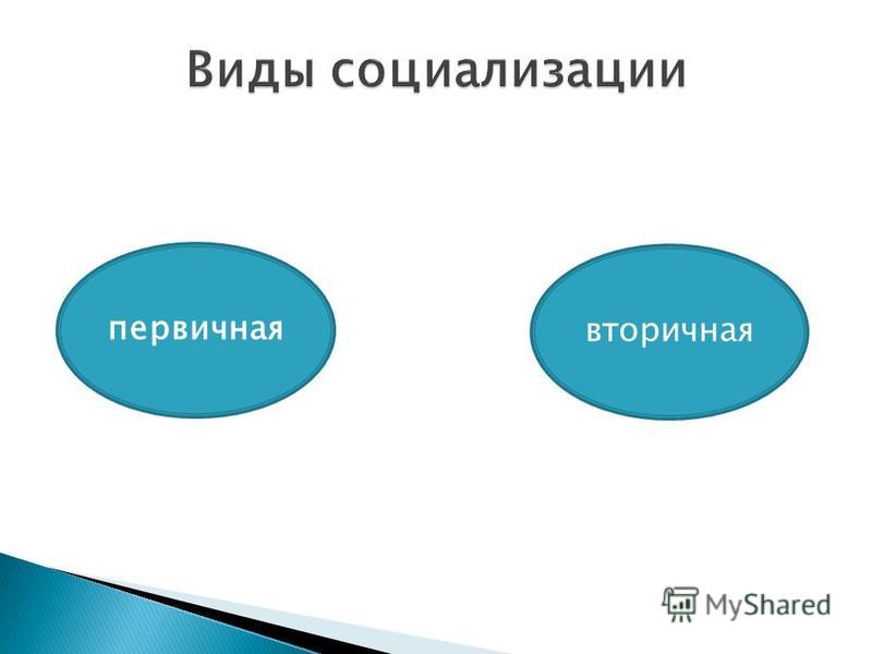 Агенты и институты социализации. Виды социализации первичная и вторичная. Первичные во вторичные. Уровни социализации вторичная и первичная. Первичная и вторичная семья.