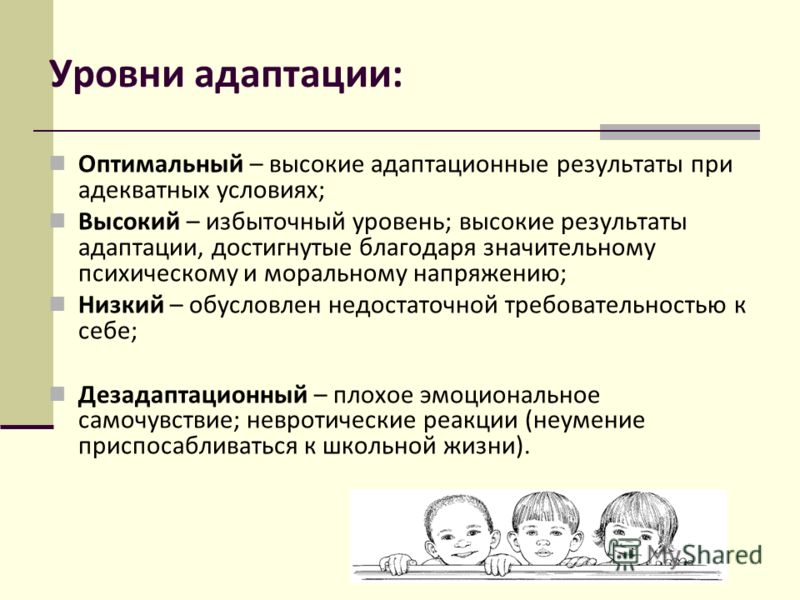 Уровень адаптированной программы. Высокая степень адаптации. Результаты адаптации. Собрание итоги адаптации. Степень адаптированности к должности.