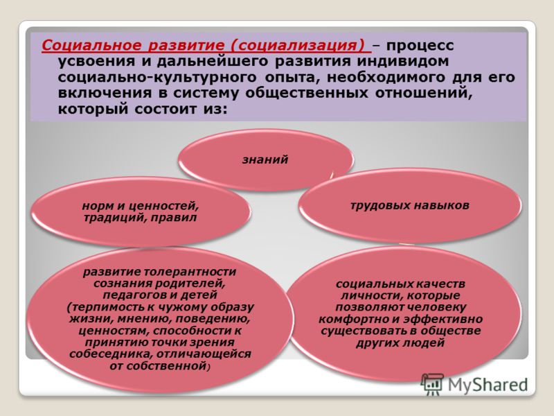 Формирование социального опыта. Социальное развитие. Процесс социального развития. Социальное развитие определение. Социальное становление.