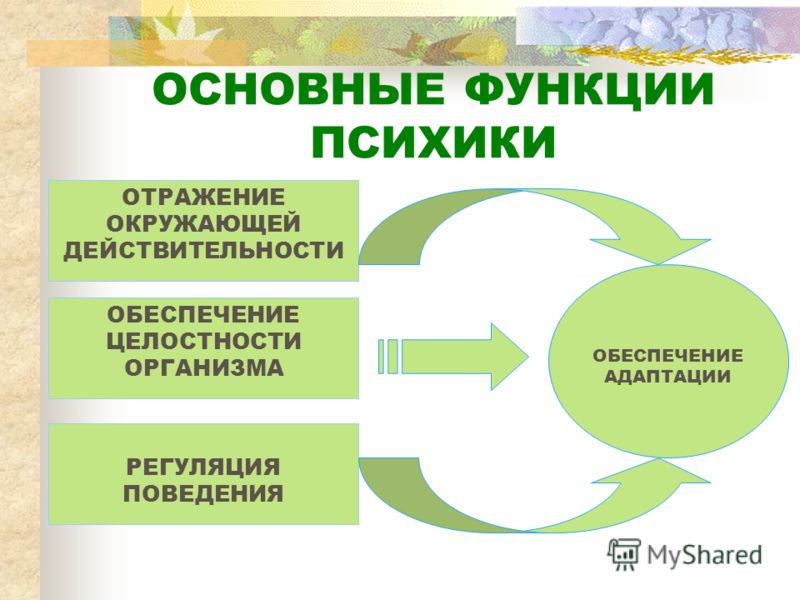 Основные функции психики