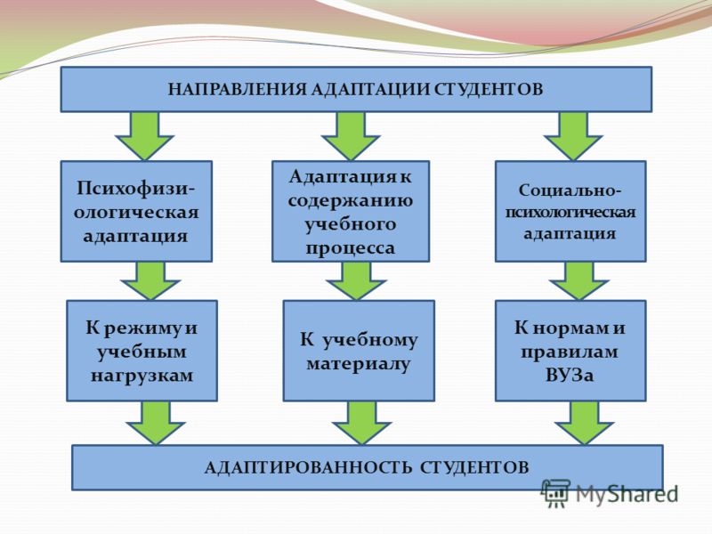 Адаптация и обучение. Адаптация первокурсников. Схема адаптации студентов. Проблемы адаптации первокурсников. Трудности адаптации первокурсников в вузе.