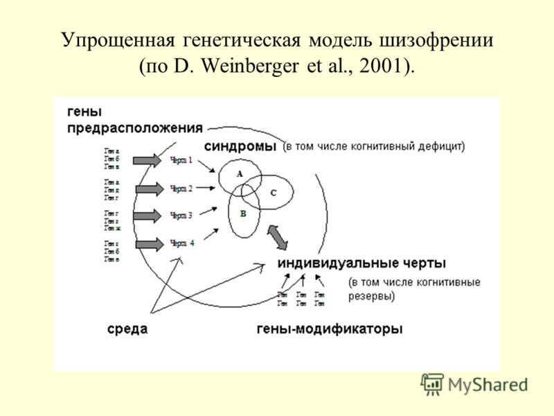 Генетическое моделирование