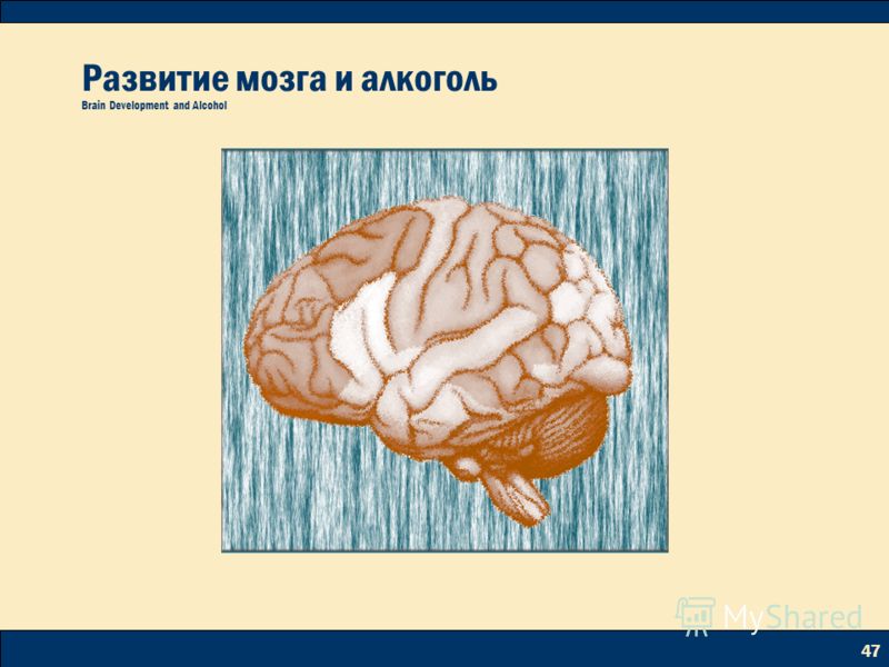 Как развивать мозги. Развиваем мозг. Ресурсы мозга. Игры для развития мозга. Как развивать мозг.