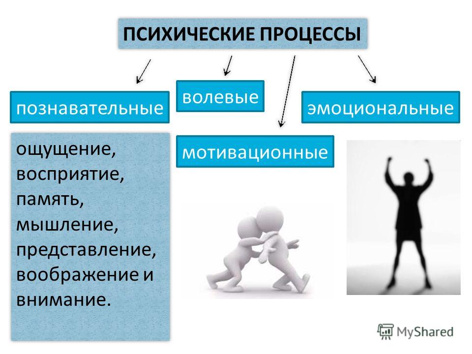 Психические процессы картинки