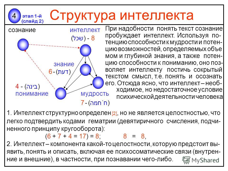 Структура интеллекта