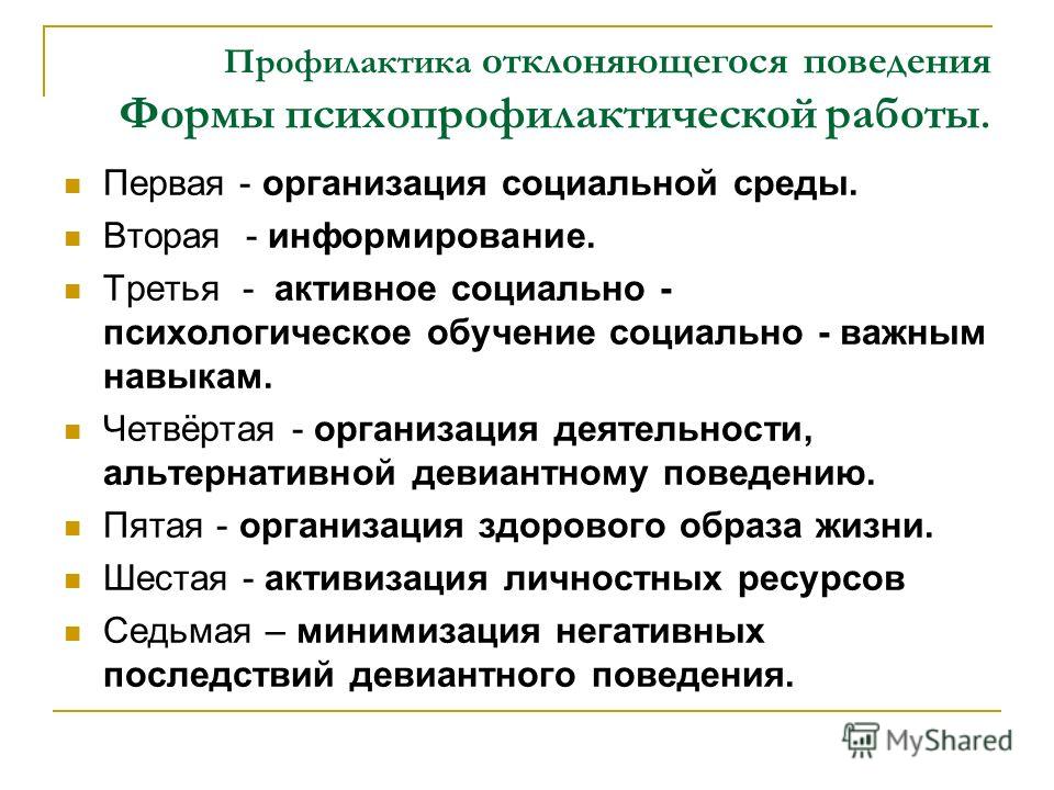 Организация профилактики