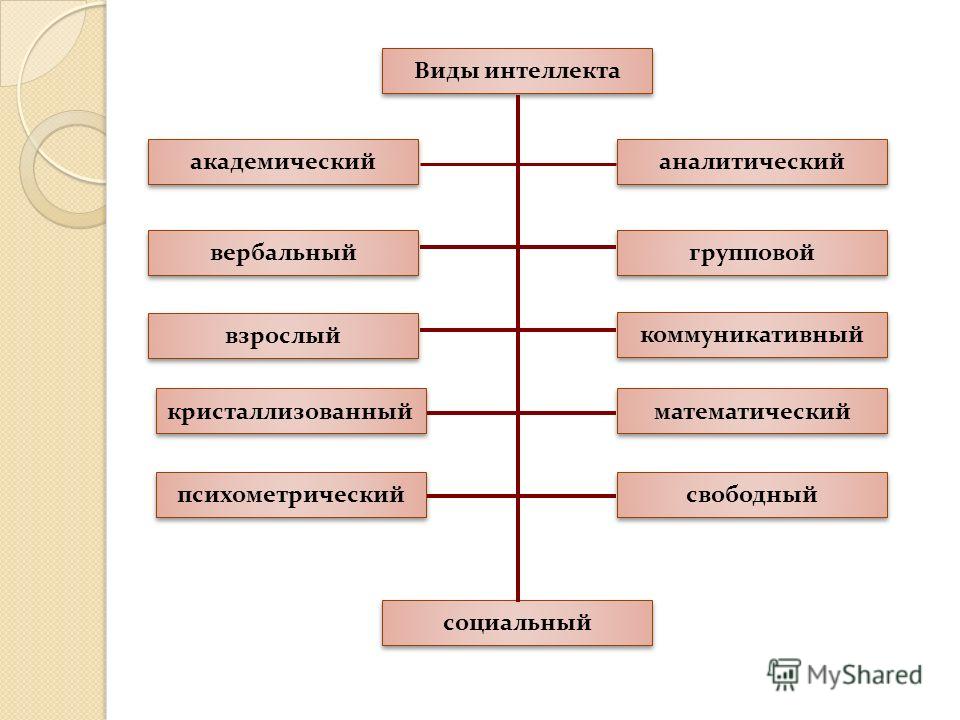 Типы интеллекта. Виды интеллекта в психологии. Основные типы интеллекта. Виды интеллектуальных способностей. Виды разума.