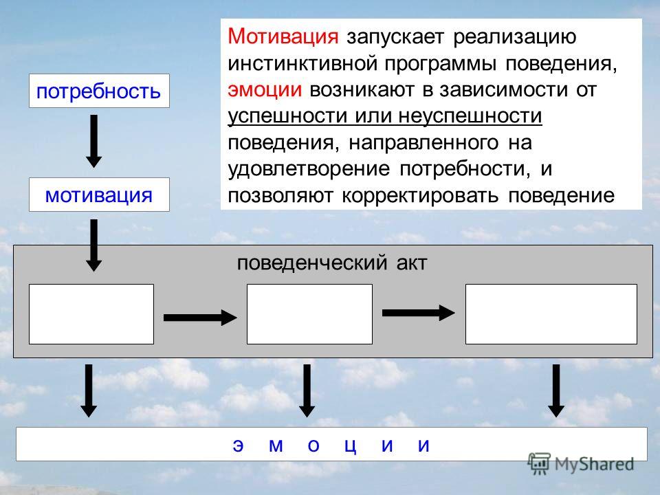 Мотивация человека потребность. Физиология потребностей и мотиваций. Эмоции и мотивации физиология. Потребности мотивации и эмоции физиология. Физиологические основы мотивации.