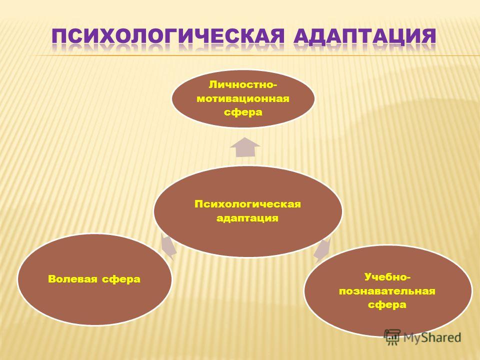 Психологическая адаптации человека. Психологическая адаптация. Социально-психологическая адаптация личности. Социально-психологическая адаптация пример. Психологическая адаптация примеры.