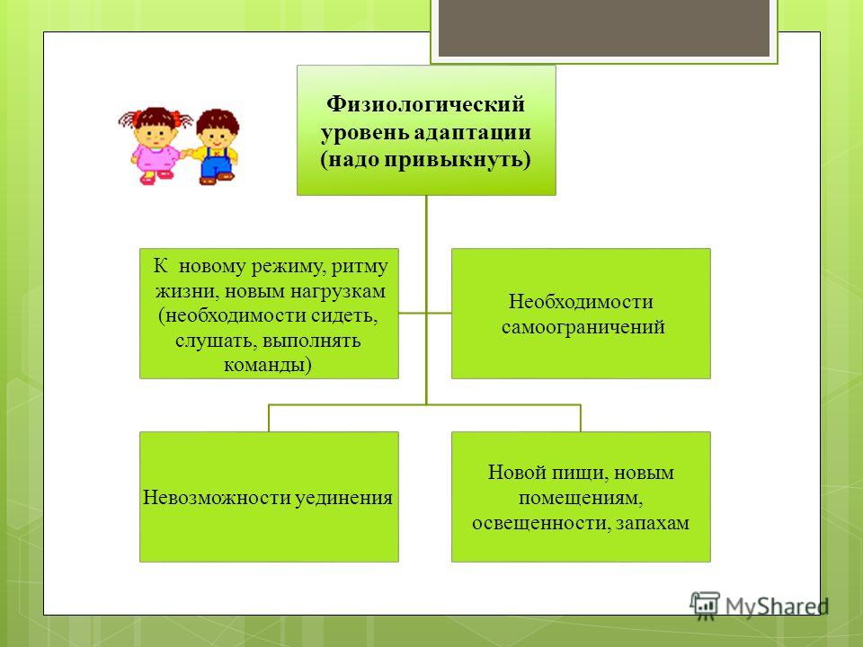 Уровни адаптации детей. Физиологический уровень адаптации. Показатели адаптации к ДОУ. Уровень адаптации ребенка в ДОУ. Уровни адаптации детей к детскому саду.