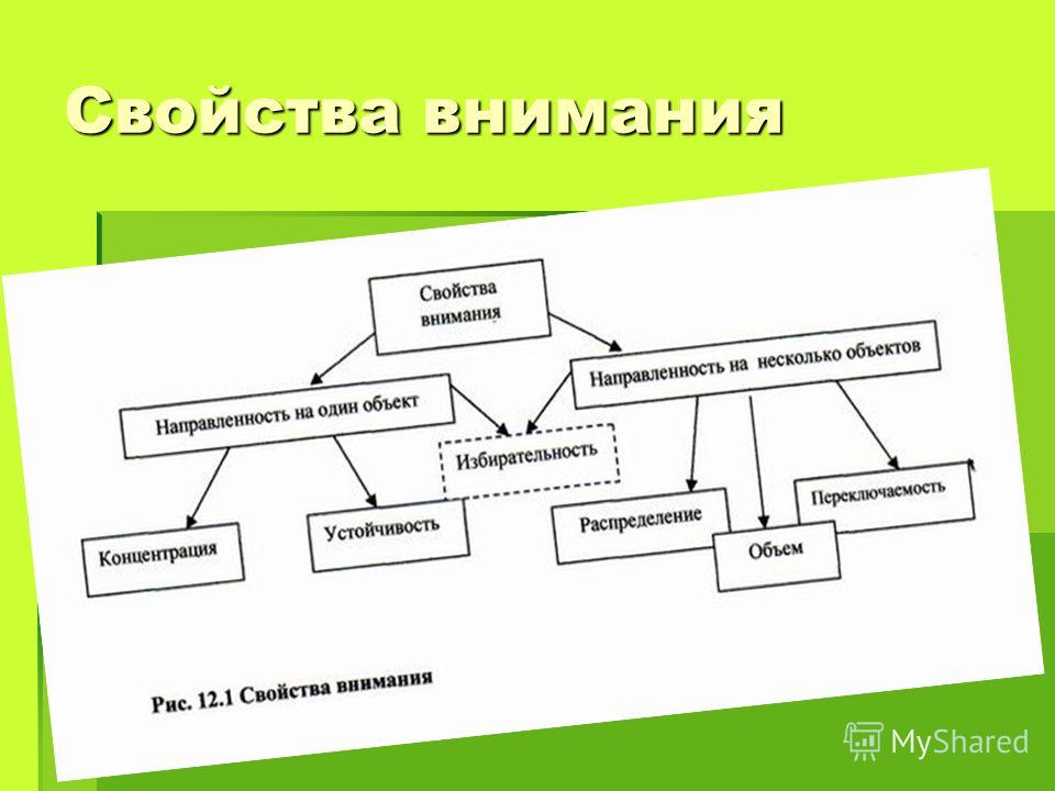 Основные свойства внимания