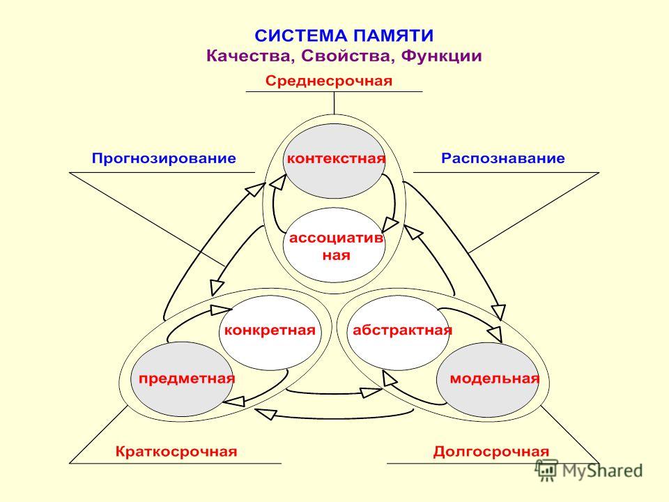 Качества памяти. Свойства (качества) памяти. Качества памяти в психологии. Перечислите качества памяти. Свойства качества памяти качество его суть.