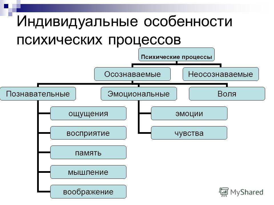 Социальные и индивидуальные особенности