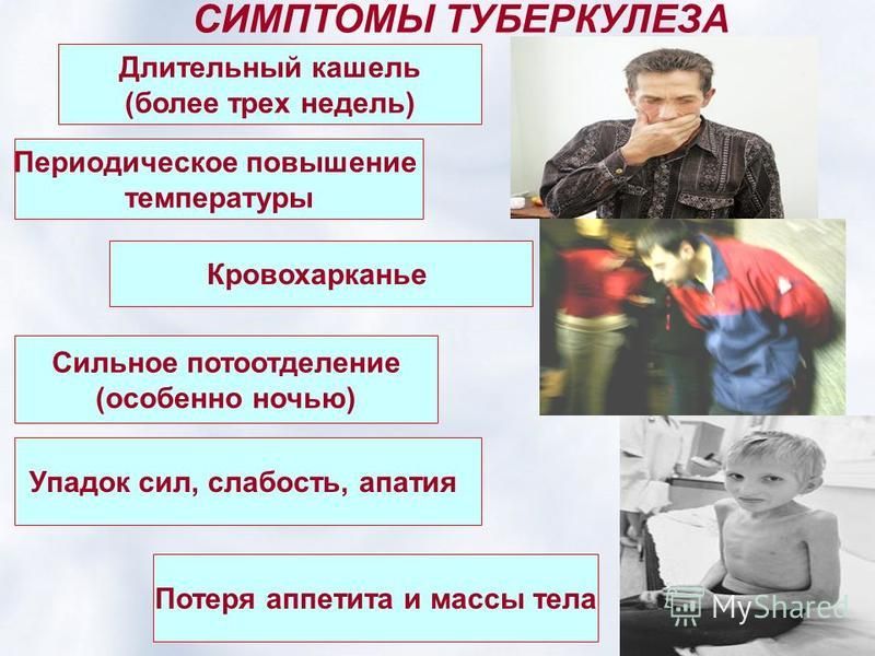 Что делать если слабость и нет сил. Симптомы туберкулеза кашель. Кашель потеря аппетита. Туберкулез потеря веса. Слабость и кашель без температуры.