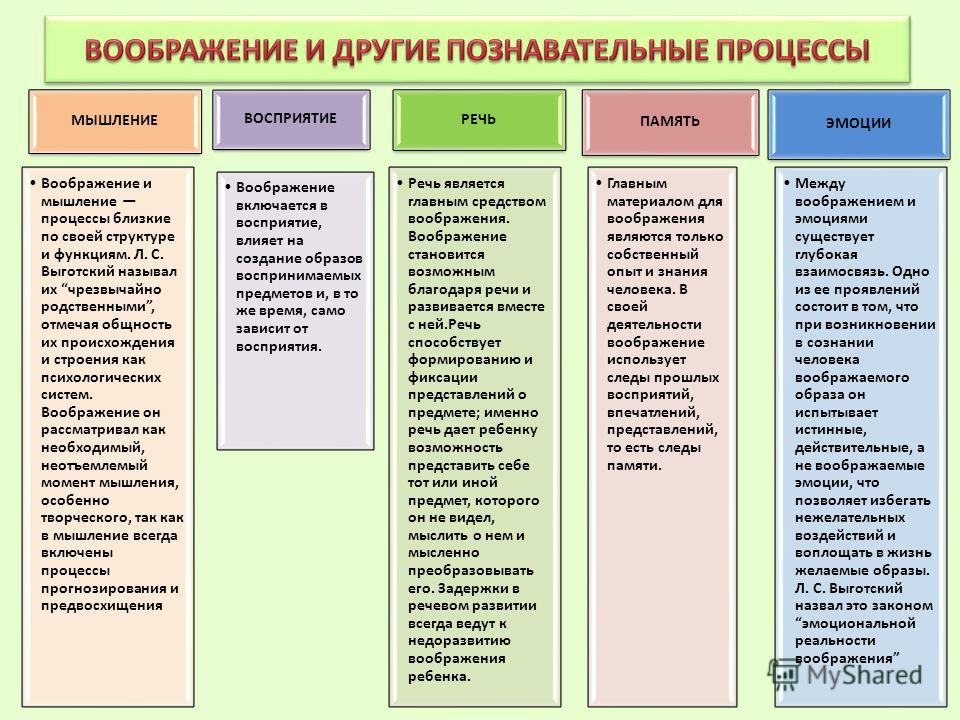 Общая характеристика развития дошкольника