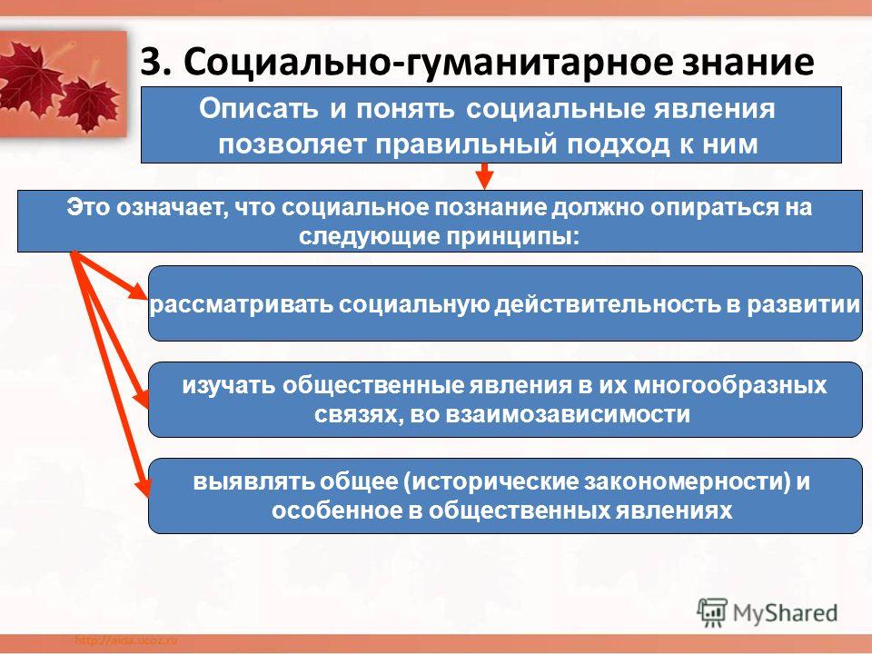 Социальные явления. Социальные и Гуманитарные знания. Социальные и Гуманитарные знания Обществознание. Социально-гуманитарный. Как понять социальная гуманитарная.