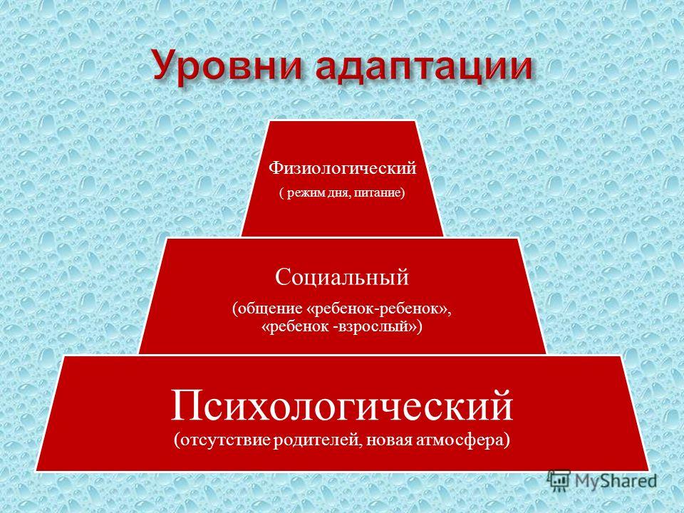 Здоровье человека и социальная адаптация