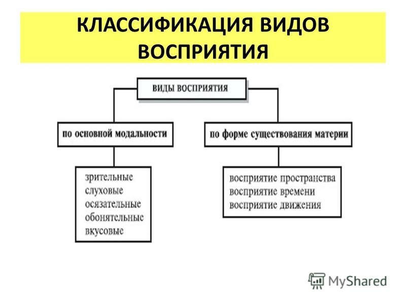 Какие виды восприятия