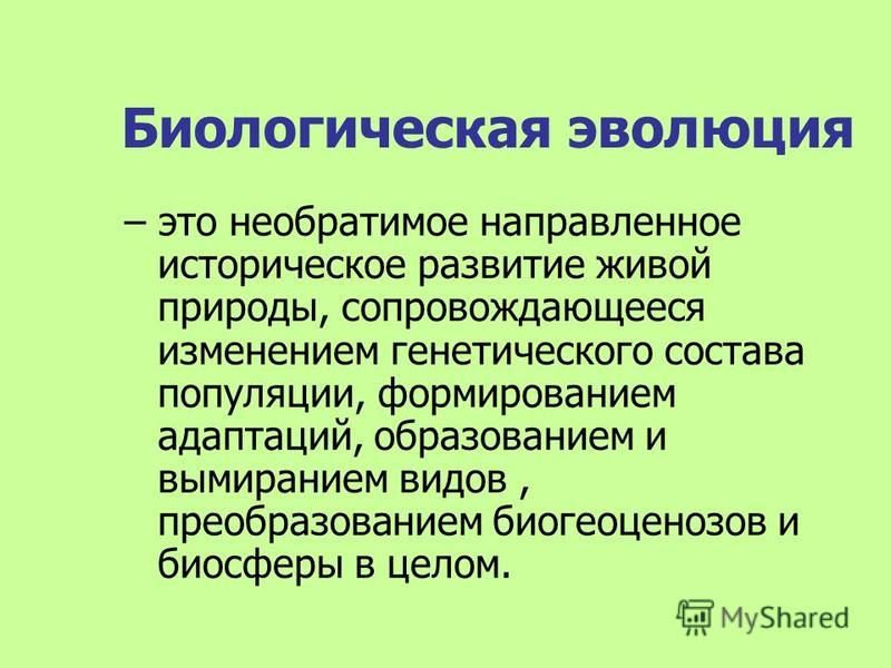 Уровни развития живой