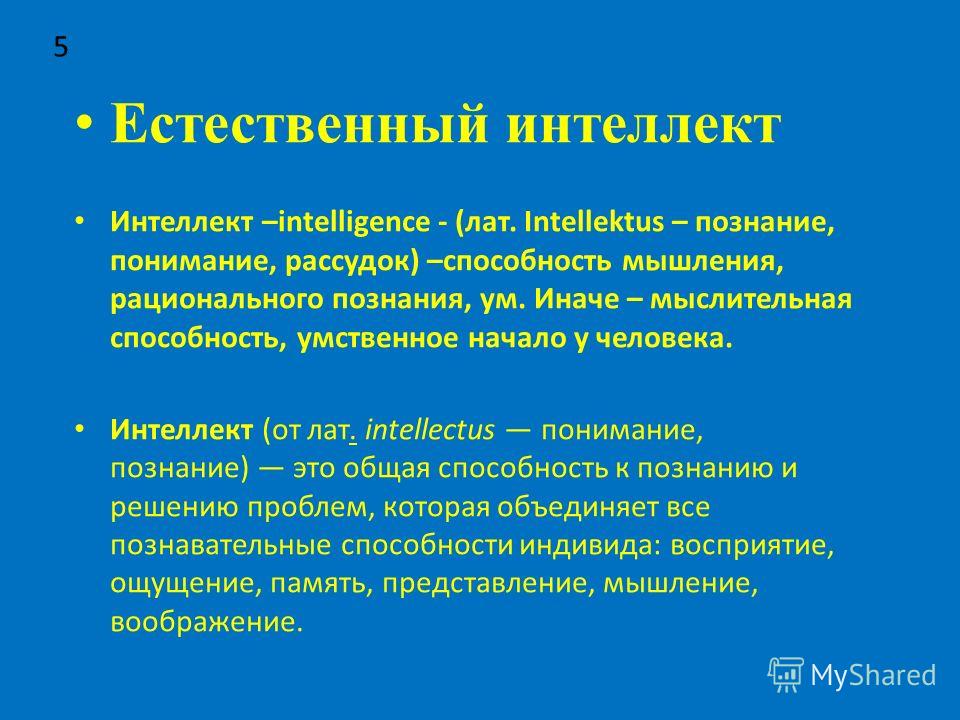 Интеллект что это такое. Естественный интеллект. Интеллект это в философии. Естественный интеллект это определение. Интеллект человека.