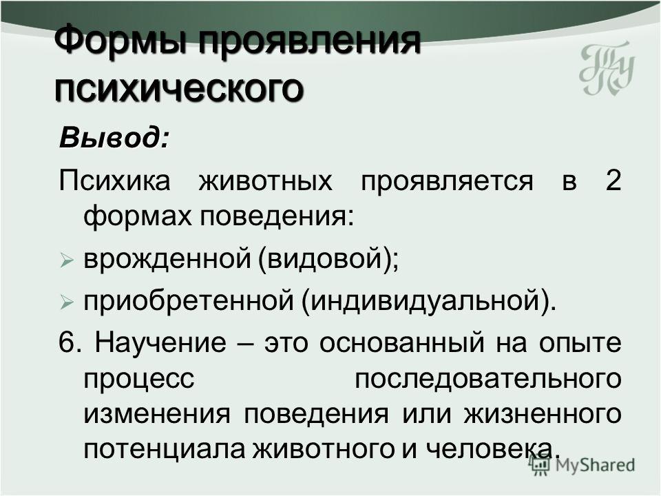 Чем психика человека отличается от психики животного