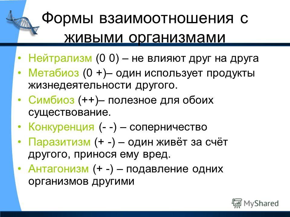 Виды отношений организмов. Формы взаимодействия организмов. Формы взаимоотношения организмов. Виды взаимодействия живых организмов. Формы взаимодействия микроорганизмов.