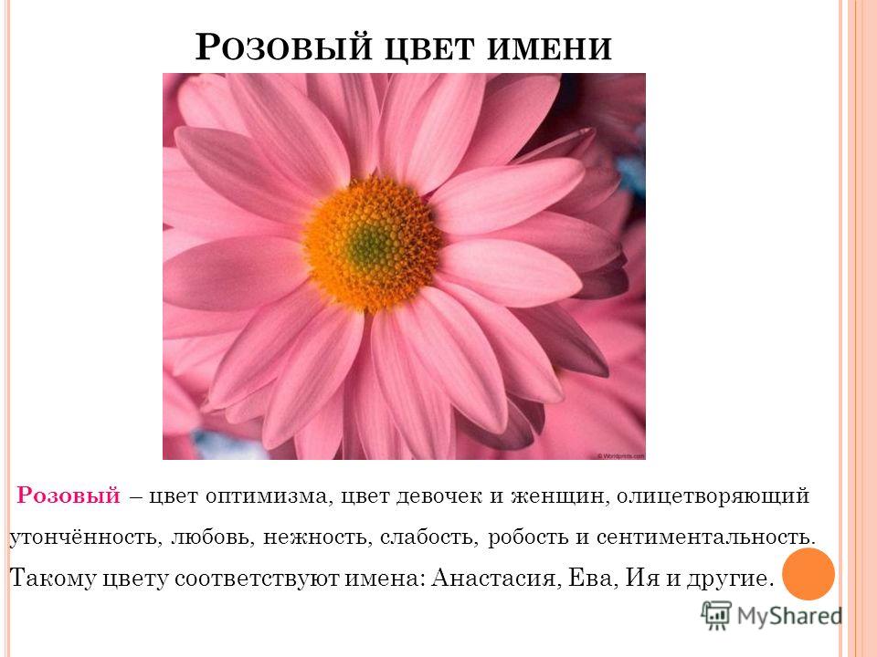 Что означает розовый цвет. Что символизирует розовый цвет. Розовый цвет в психологии. Розовый цвет характер. Розовый цвет символ.