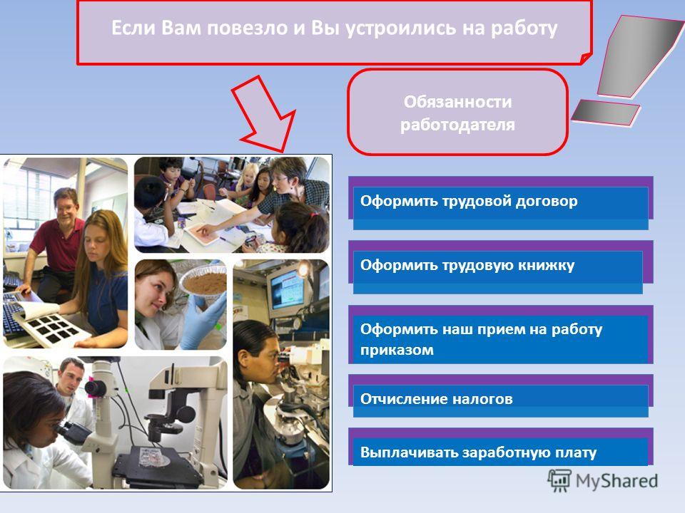 На какую работу устроиться. Что необходимо сделать чтобы устроиться на работу. Что нужно подростку чтобы устроиться на работу. Что нужно для того чтобы устроиться на хорошую работу. Что нужно знать чтобы устроится на работу.