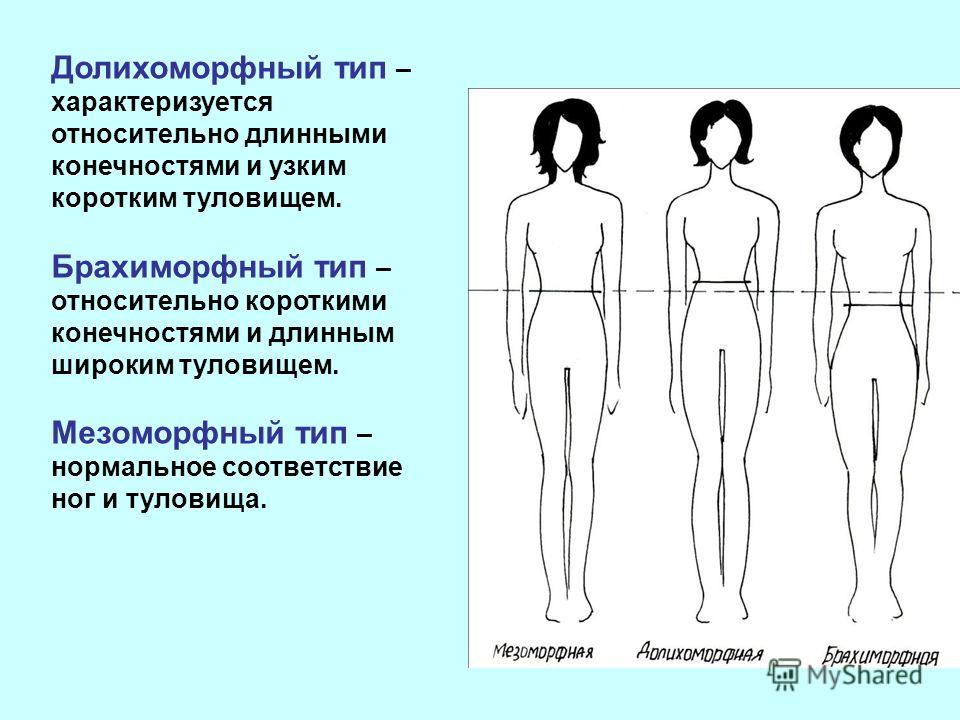 Телосложение это. Брахиморфный Тип телосложения. Долихоморфный мезоморфный и брахиморфный. Брахиморфное Телосложение Тип Конституции. Брахиморфный и долихоморфный Тип телосложения.