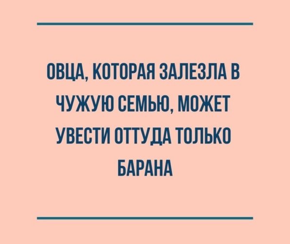 Чужая семья. Из семьи можно увести только барана. Овца которая влезла в чужую семью. Овца которая лезет в семью. Может увести только барана.