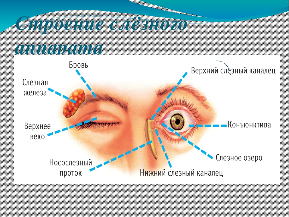 Тест какие я слезы