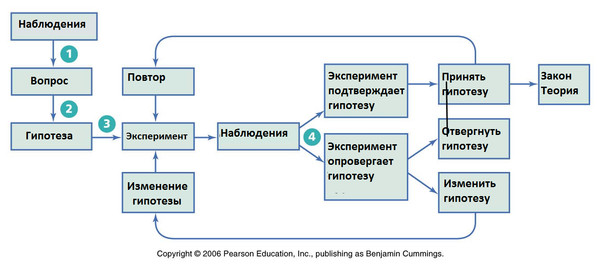 Проблемы наблюдения. Наблюдение гипотеза эксперимент. Наблюдение гипотеза эксперимент теория. Гипотеза схема. Наблюдения, опыты, измерения, гипотеза, эксперимент.