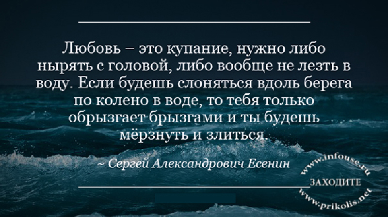 Слова великих о любви. В любовь надо нырять с головой. Афоризмы на тему любовь. Афоризмы великих олюбви. Высказывания о чувствах.